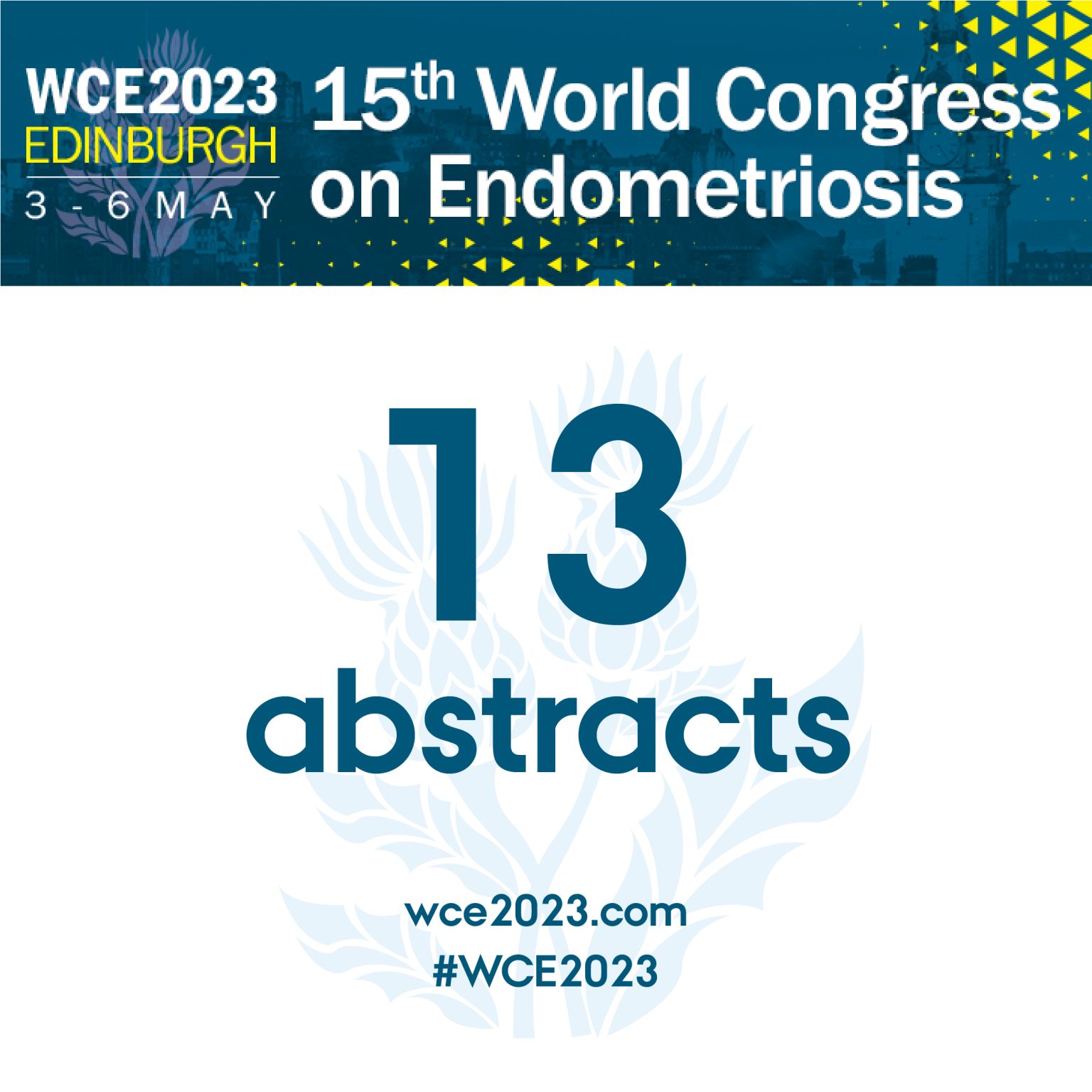 13 abstract accettati per WCE2023!